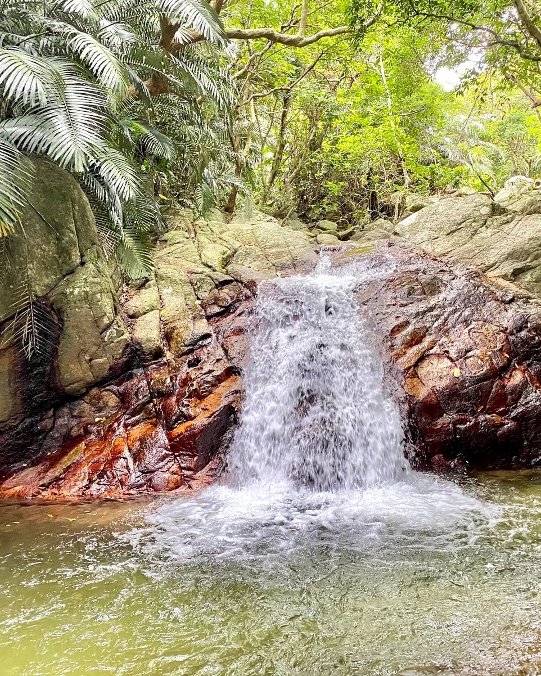 🏞️ 아라카와 폭포 이미지 5
